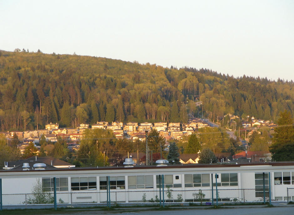 Burnaby Mountain trail and forest view