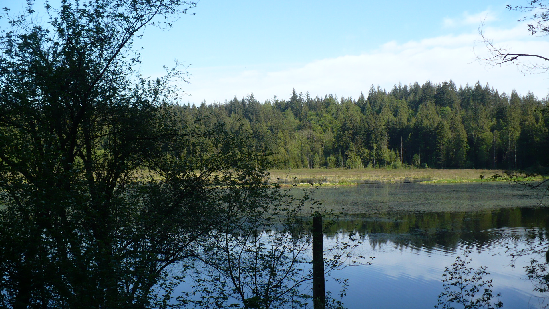 Minnekhada Regional Park wetlands and trail, Coquitlam BC
