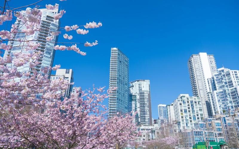 Cheap Spring Date Ideas Around Metro Vancouver
