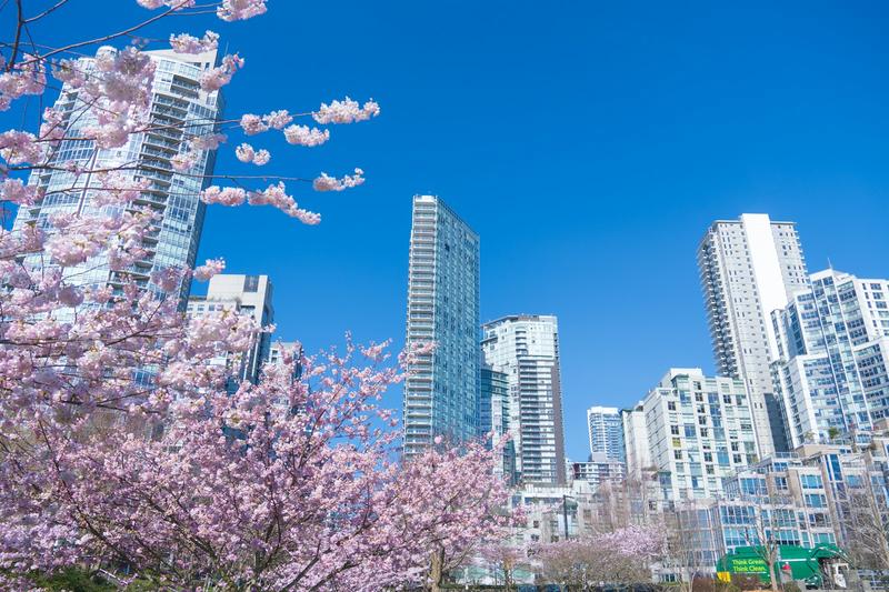 Cheap Spring Date Ideas Around Metro Vancouver