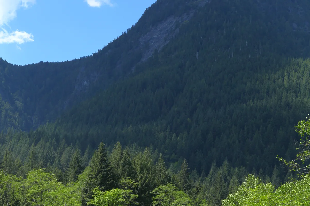 Trail and river area near Alouette Lake in Golden Ears Provincial Park