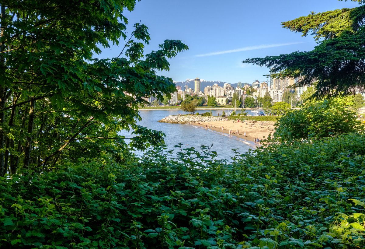 Kitsilano in Summer: The Pool, the Beach, and What to Do with the Rest of the Afternoon