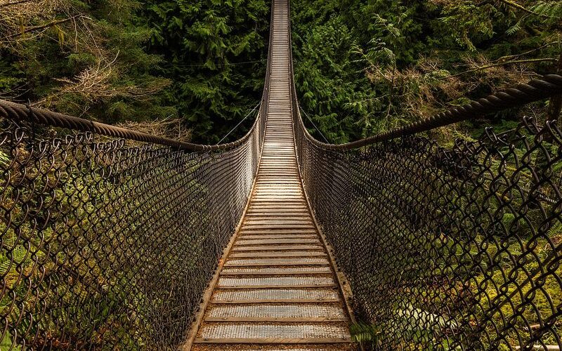 Lynn Canyon, North Vancouver: The Free Day Trip That Beats Capilano Every Time