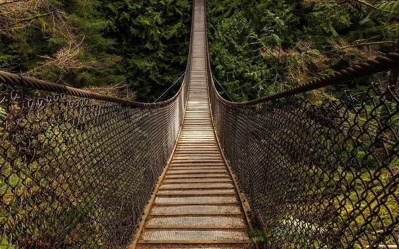 Lynn Canyon, North Vancouver: The Free Day Trip That Beats Capilano Every Time