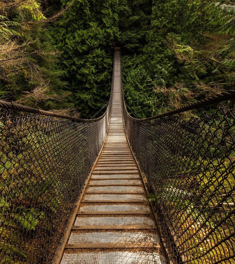 Lynn Canyon, North Vancouver: The Free Day Trip That Beats Capilano Every Time