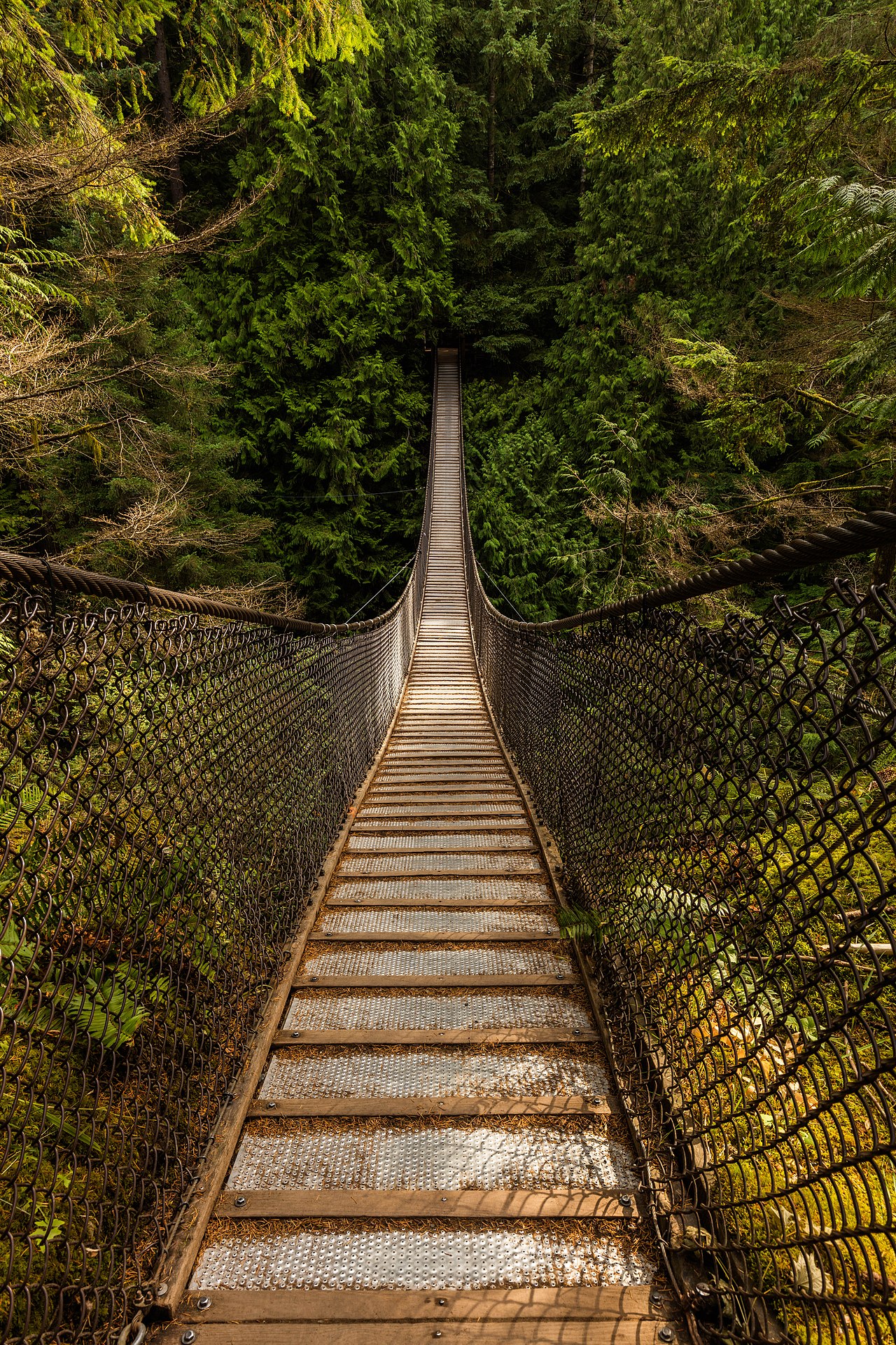 Lynn Canyon suspension bridge over the canyon, North Vancouver