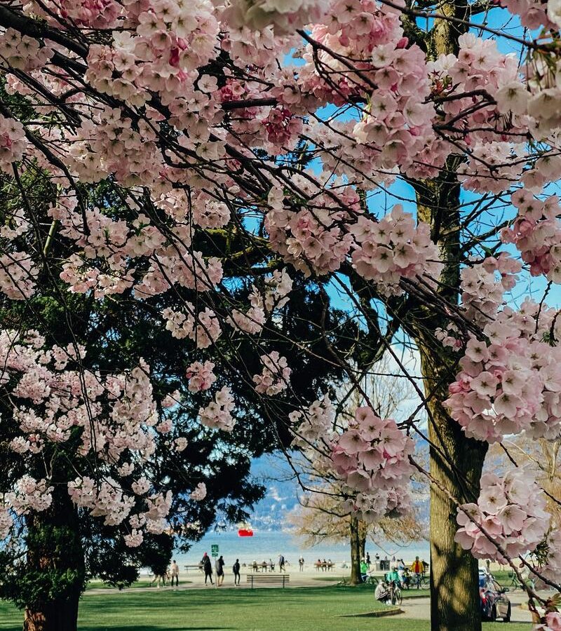 Metro Vancouver Parks That Feel Best in Spring