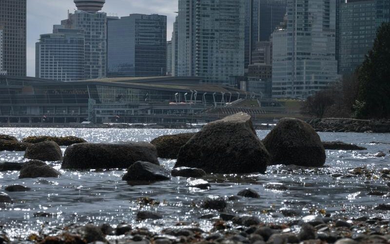 Spring Waterfront Walks Around Metro Vancouver