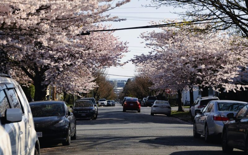 West Vancouver Neighbourhood Guide
