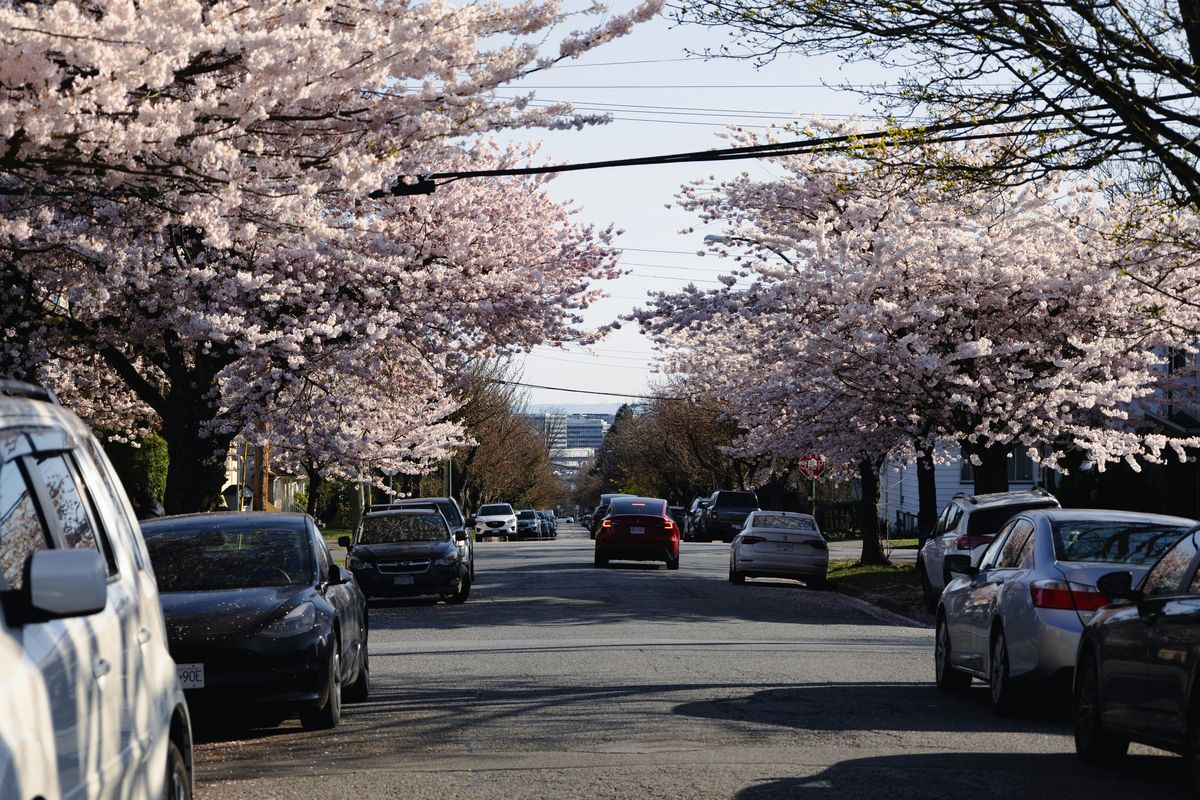 West Vancouver Neighbourhood Guide