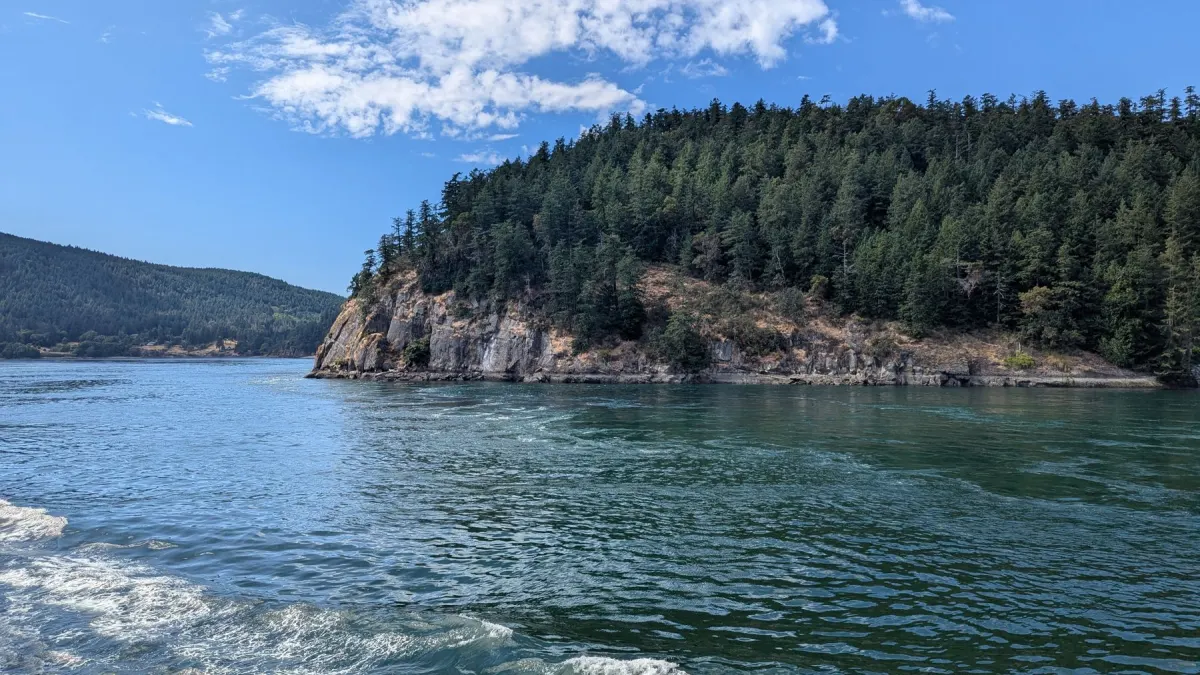 Forested Vancouver Island coastline with blue ocean water