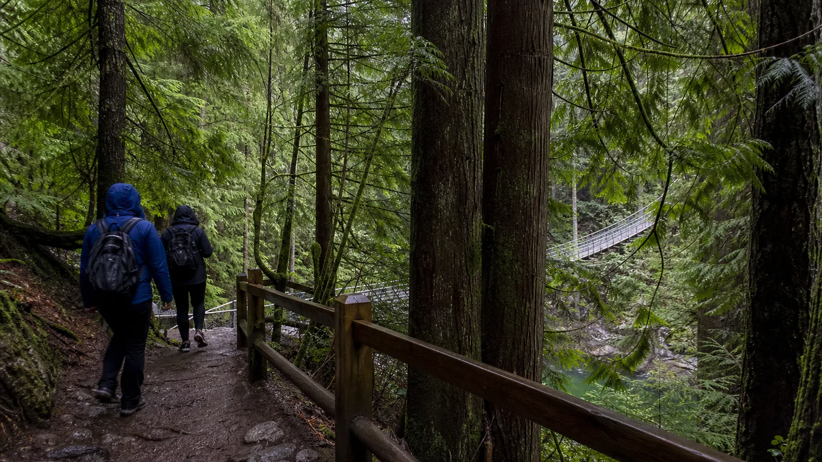 Hikers on a wet Lynn Canyon forest trail