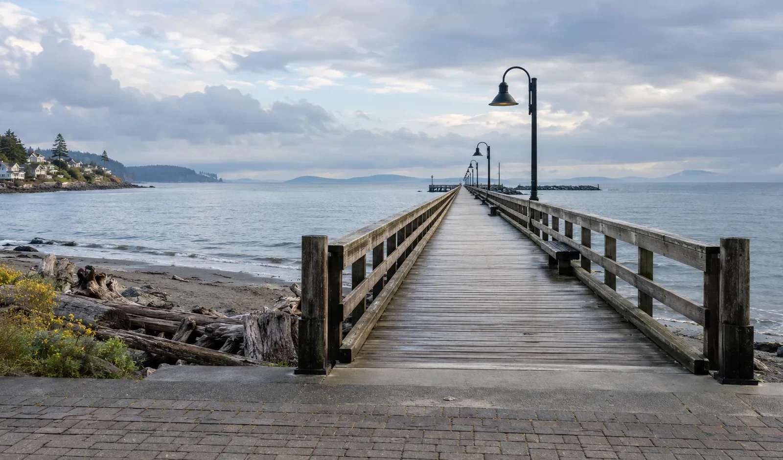 Pier extending into the water beside a coastal promenade